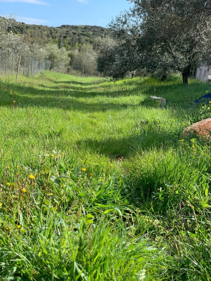 Il Giardino Degli Ulivi Hotel Rovinj Ngoại thất bức ảnh