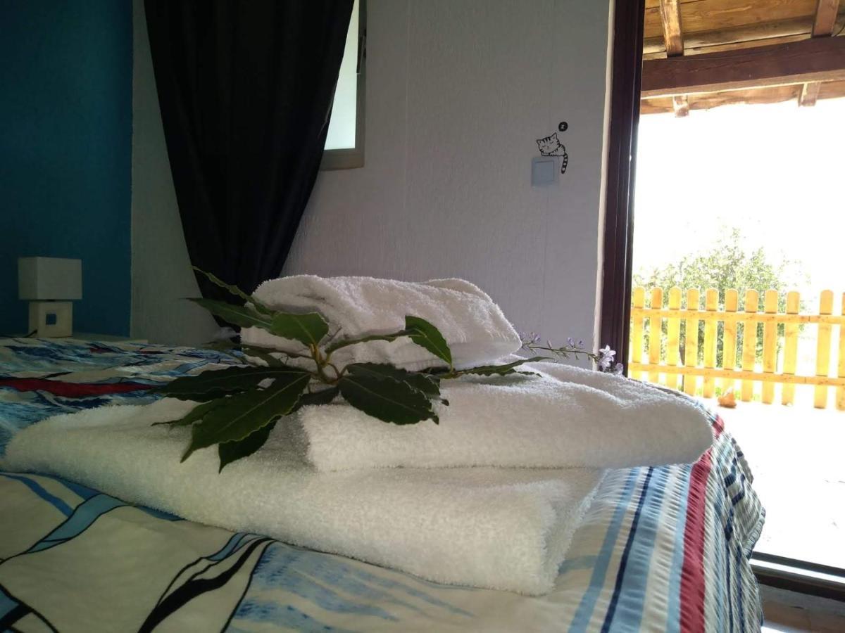 Il Giardino Degli Ulivi Hotel Rovinj Ngoại thất bức ảnh